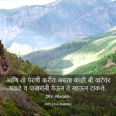 Picture 03 - मत्तय 13:4 MARIRV - आणि तो पेरणी करीत - Bible Verse Picture