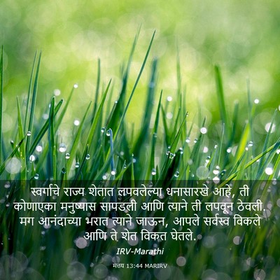 Picture 03 - मत्तय 13:44 MARIRV - स्वर्गाचे राज्य - Bible Verse Picture