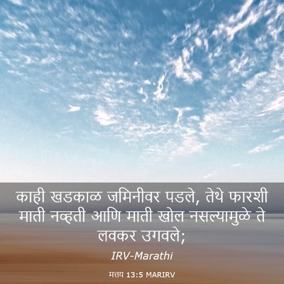 Picture 03 - मत्तय 13:5 MARIRV - काही खडकाळ - Bible Verse Picture
