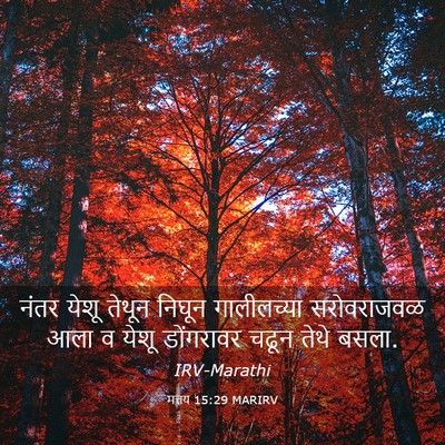 Picture 03 - मत्तय 15:29 MARIRV - नंतर येशू तेथून - Bible Verse Picture
