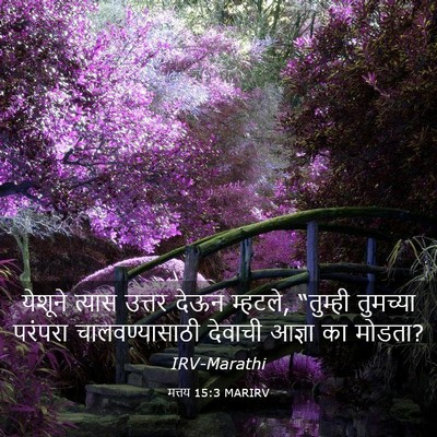 Picture 03 - मत्तय 15:3 MARIRV - येशूने त्यास - Bible Verse Picture
