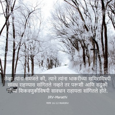 Picture 03 - मत्तय 16:12 MARIRV - तेव्हा त्यांना - Bible Verse Picture