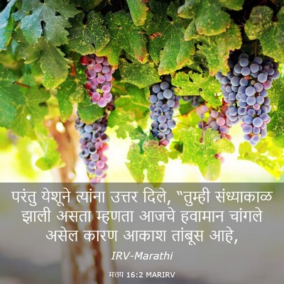 Picture 03 - मत्तय 16:2 MARIRV - परंतु येशूने - Bible Verse Picture