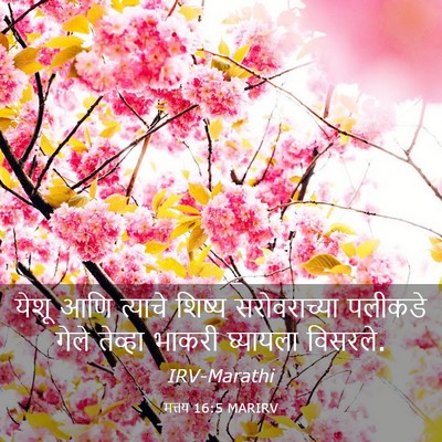 Picture 03 - मत्तय 16:5 MARIRV - येशू आणि त्याचे - Bible Verse Picture