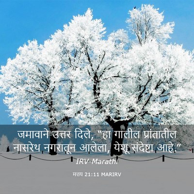 Picture 03 - मत्तय 21:11 MARIRV - जमावाने उत्तर - Bible Verse Picture
