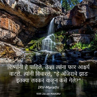 Picture 03 - मत्तय 21:20 MARIRV - शिष्यांनी हे - Bible Verse Picture