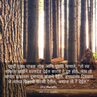 Picture 03 - मत्तय 21:41 MARIRV - यहूदी मुख्य याजक - Bible Verse Picture