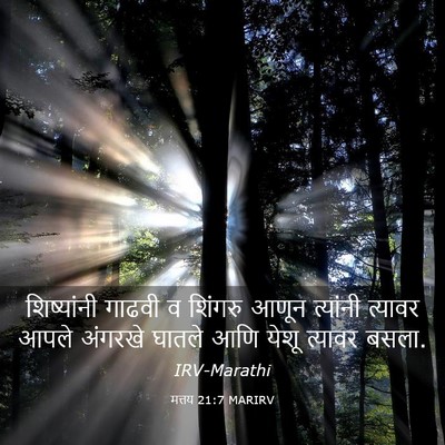 Picture 03 - मत्तय 21:7 MARIRV - शिष्यांनी गाढवी व - Bible Verse Picture