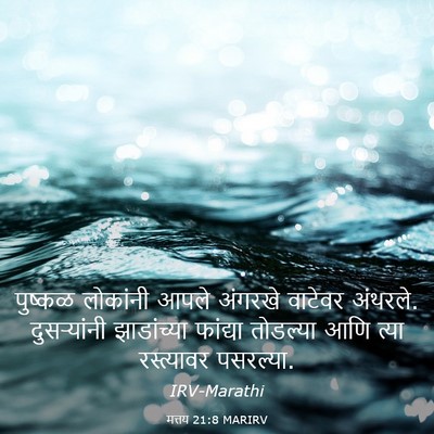 Picture 03 - मत्तय 21:8 MARIRV - पुष्कळ लोकांनी - Bible Verse Picture