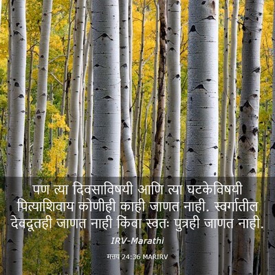 Picture 03 - मत्तय 24:36 MARIRV - पण त्या - Bible Verse Picture
