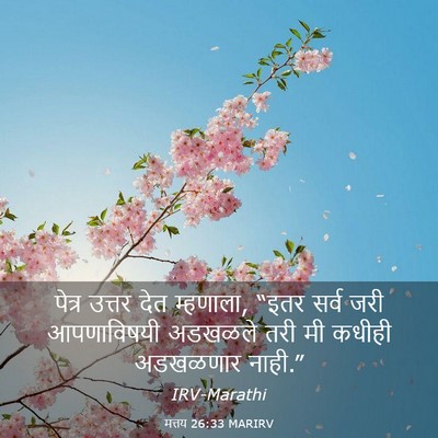 Picture 03 - मत्तय 26:33 MARIRV - पेत्र उत्तर देत - Bible Verse Picture