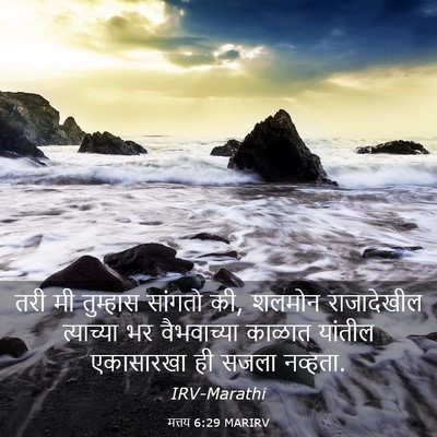 Picture 03 - मत्तय 6:29 MARIRV - तरी मी तुम्हास - Bible Verse Picture