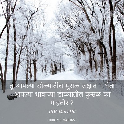 Picture 03 - मत्तय 7:3 MARIRV - तू आपल्या - Bible Verse Picture