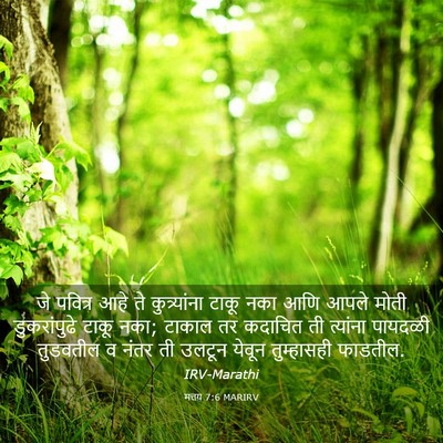 Picture 03 - मत्तय 7:6 MARIRV - जे पवित्र आहे ते - Bible Verse Picture