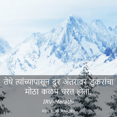 Picture 03 - मत्तय 8:30 MARIRV - तेथे - Bible Verse Picture