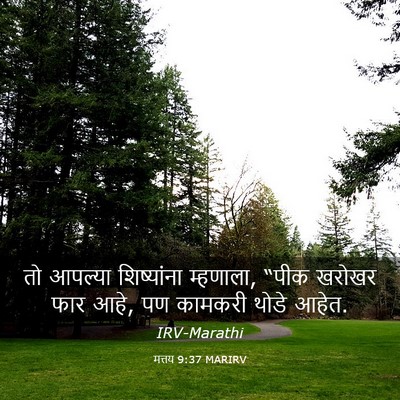 Picture 03 - मत्तय 9:37 MARIRV - तो आपल्या - Bible Verse Picture