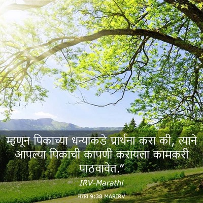 Picture 03 - मत्तय 9:38 MARIRV - म्हणून पिकाच्या - Bible Verse Picture
