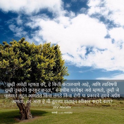 Picture 03 - मलाखी 1:13 MARIRV - तुम्ही असेही - Bible Verse Picture