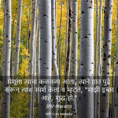 Picture 03 - मार्क 1:41 MARIRV - येशूला त्याचा - Bible Verse Picture
