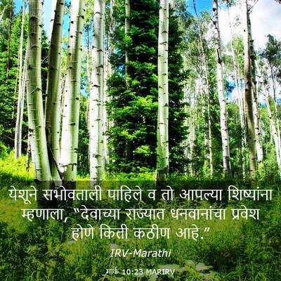 Picture 03 - मार्क 10:23 MARIRV - येशूने सभोवताली - Bible Verse Picture