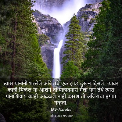 Picture 03 - मार्क 11:13 MARIRV - त्यास पानांनी - Bible Verse Picture