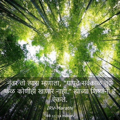 Picture 03 - मार्क 11:14 MARIRV - नंतर तो त्यास - Bible Verse Picture
