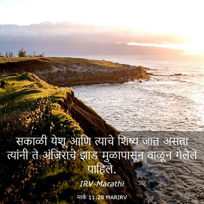 Picture 03 - मार्क 11:20 MARIRV - सकाळी येशू आणि - Bible Verse Picture