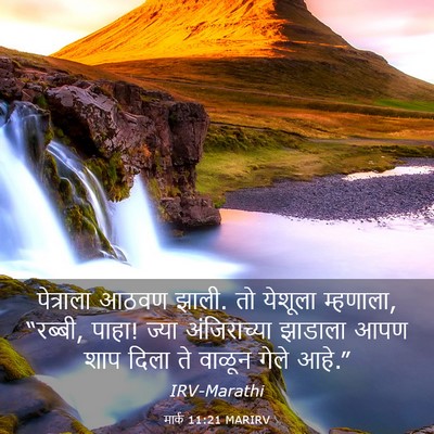 Picture 03 - मार्क 11:21 MARIRV - पेत्राला आठवण - Bible Verse Picture