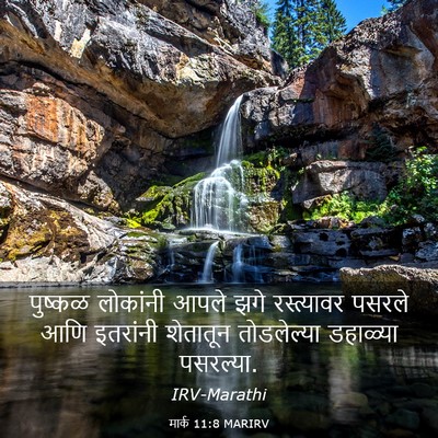 Picture 03 - मार्क 11:8 MARIRV - पुष्कळ लोकांनी - Bible Verse Picture