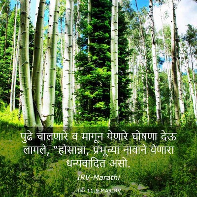 Picture 03 - मार्क 11:9 MARIRV - पुढे चालणारे व - Bible Verse Picture