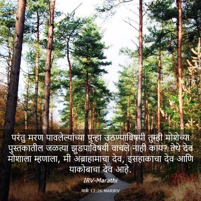 Picture 03 - मार्क 12:26 MARIRV - परंतु मरण - Bible Verse Picture