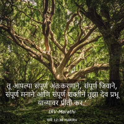 Picture 03 - मार्क 12:30 MARIRV - तू आपल्या संपूर्ण - Bible Verse Picture