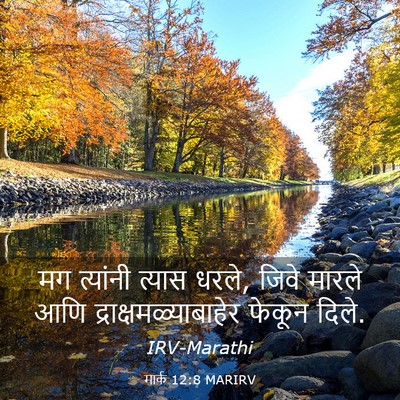 Picture 03 - मार्क 12:8 MARIRV - मग त्यांनी त्यास - Bible Verse Picture