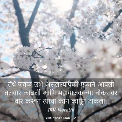 Picture 03 - मार्क 14:47 MARIRV - तेथे जवळ उभे - Bible Verse Picture