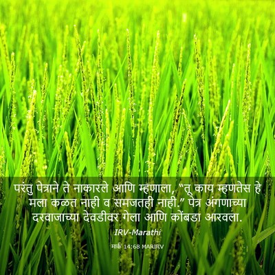 Picture 03 - मार्क 14:68 MARIRV - परंतु पेत्राने ते - Bible Verse Picture