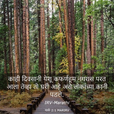 Picture 03 - मार्क 2:1 MARIRV - काही दिवसानी येशू - Bible Verse Picture