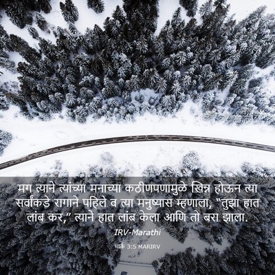 Picture 03 - मार्क 3:5 MARIRV - मग त्याने - Bible Verse Picture