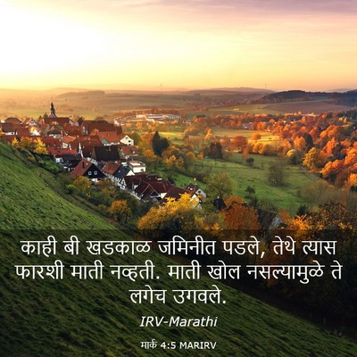 Picture 03 - मार्क 4:5 MARIRV - काही बी खडकाळ - Bible Verse Picture