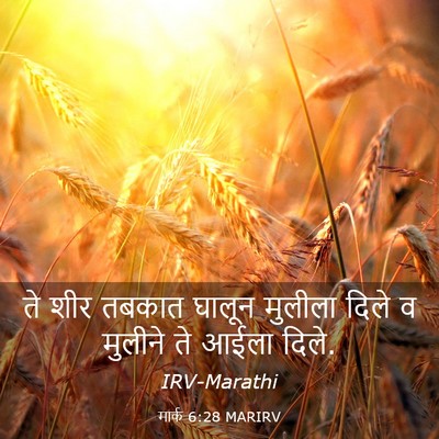 Picture 03 - मार्क 6:28 MARIRV - ते शीर तबकात घालून - Bible Verse Picture