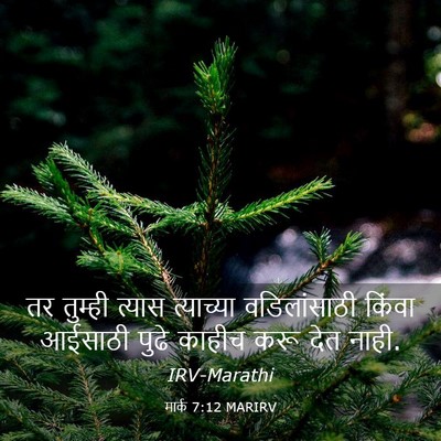 Picture 03 - मार्क 7:12 MARIRV - तर तुम्ही त्यास - Bible Verse Picture