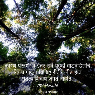 Picture 03 - मार्क 7:3 MARIRV - कारण परूशी व इतर - Bible Verse Picture