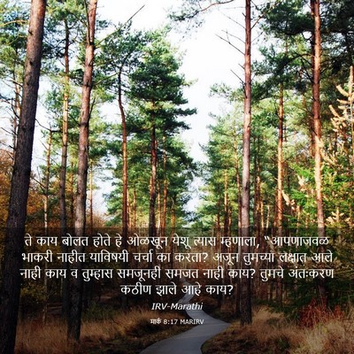 Picture 03 - मार्क 8:17 MARIRV - ते काय बोलत होते हे - Bible Verse Picture