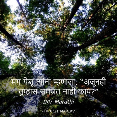 Picture 03 - मार्क 8:21 MARIRV - मग येशू त्यांना - Bible Verse Picture