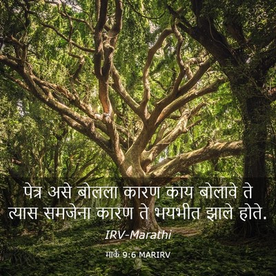 Picture 03 - मार्क 9:6 MARIRV - पेत्र असे बोलला - Bible Verse Picture