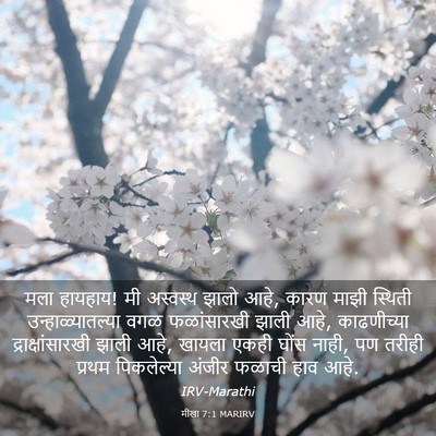 Picture 03 - मीखा 7:1 MARIRV - मला हायहाय! मी - Bible Verse Picture