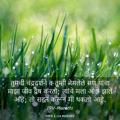 Picture 03 - यशया 1:14 MARIRV - तुमची चंद्रदर्शने - Bible Verse Picture