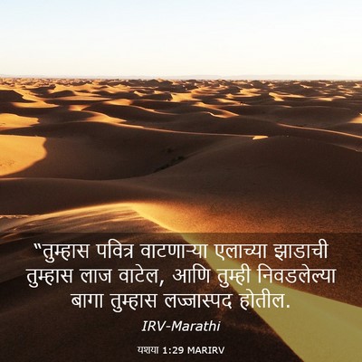 Picture 03 - यशया 1:29 MARIRV - “तुम्हास पवित्र - Bible Verse Picture