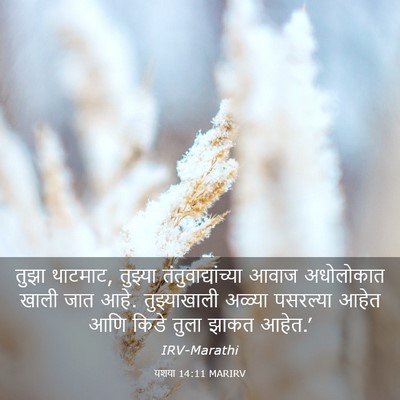 Picture 03 - यशया 14:11 MARIRV - तुझा थाटमाट, - Bible Verse Picture