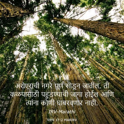 Picture 03 - यशया 17:2 MARIRV - अरोएराची नगरे - Bible Verse Picture