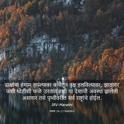 Picture 03 - यशया 24:13 MARIRV - द्राक्षांचा हंगाम - Bible Verse Picture